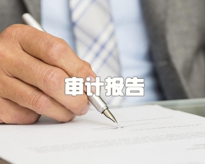 审计报告
