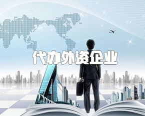 代办外资企业