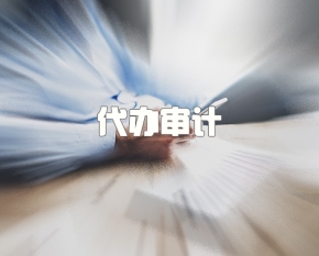 渝中区代办审计